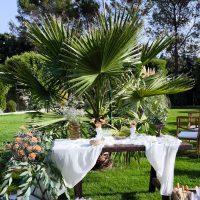 Lágrimas de felicidad